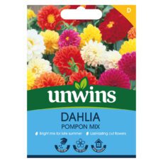 5051618030809 1 Dahlia Pompom Mix Seeds.jpg